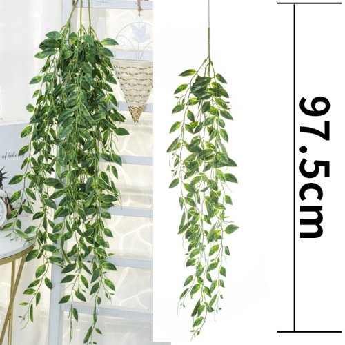 Vue 23 du produit