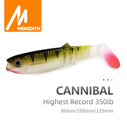 Image of Meredith Natural Soft Fishing Lures 80mm, 100mm, 125mm – Realistic Silicone Shad and Worm Baits for Bass and Predator Fish