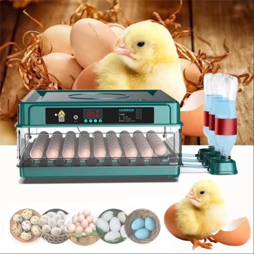 Imagen de Incubadora de Huevos Automática con Control de Temperatura y Humedad, Capacidad para 9, 15, 24 o 36 Huevos, Caja de Agua Iónica y Reposición Automática