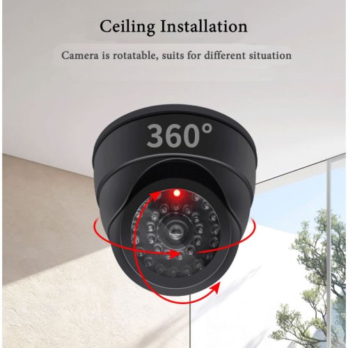 Image de Caméra de Sécurité Factice avec LED Clignotante