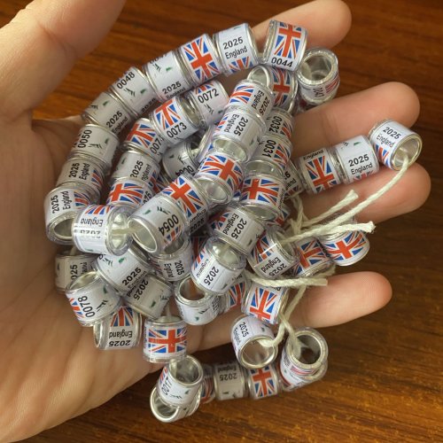 Imagen de Anillos de Paloma Personalizados 2026 - Bandera del Reino Unido