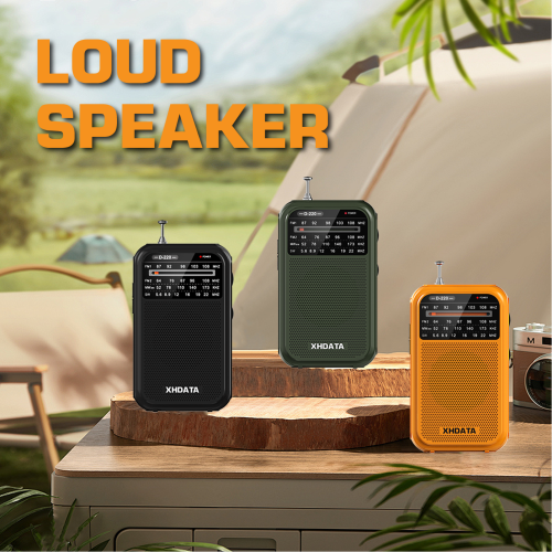 Image de Radio Portable Vintage DSP XHDATA D220 - 4 Bandes FM/MW/SW