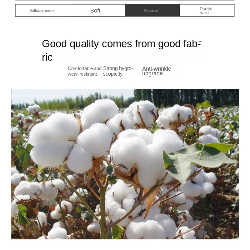 Vue 2 du produit