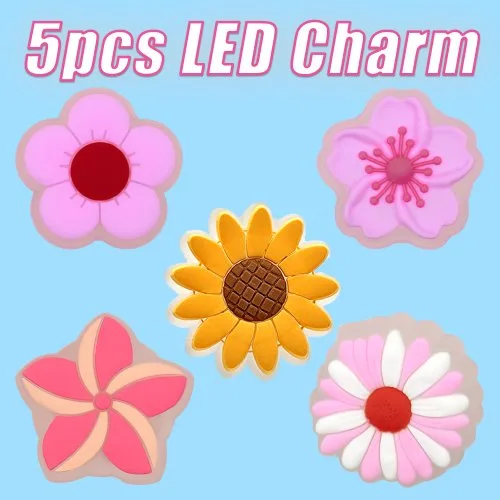 5PCS