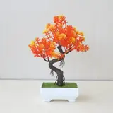 Vue 23 du produit