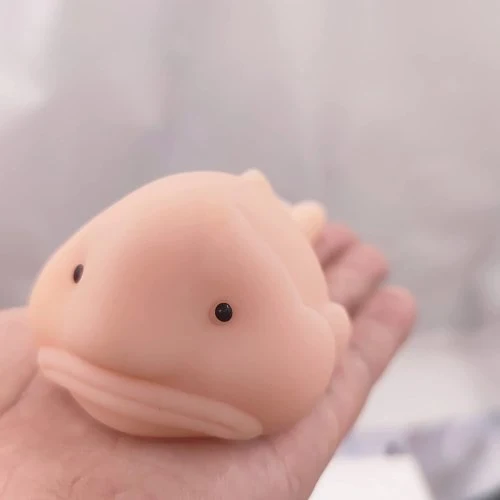 Vue 3 du produit