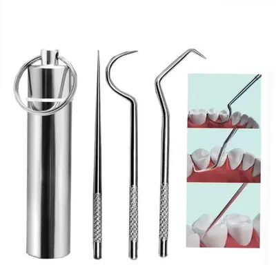 Image de Kit Cure-Dents Portable en Acier Inoxydable
