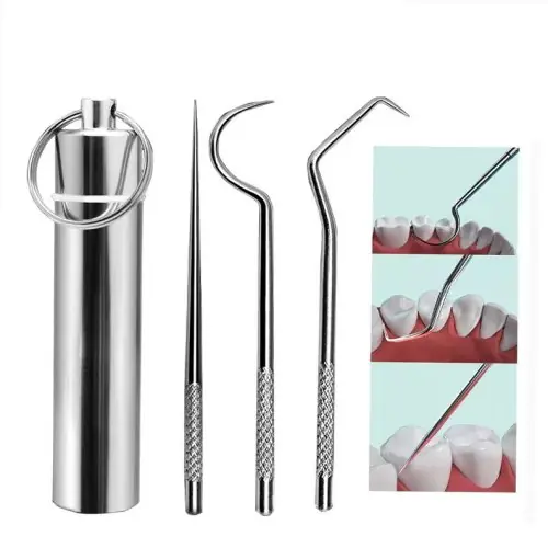 Image de Kit Cure-Dents Portable en Acier Inoxydable