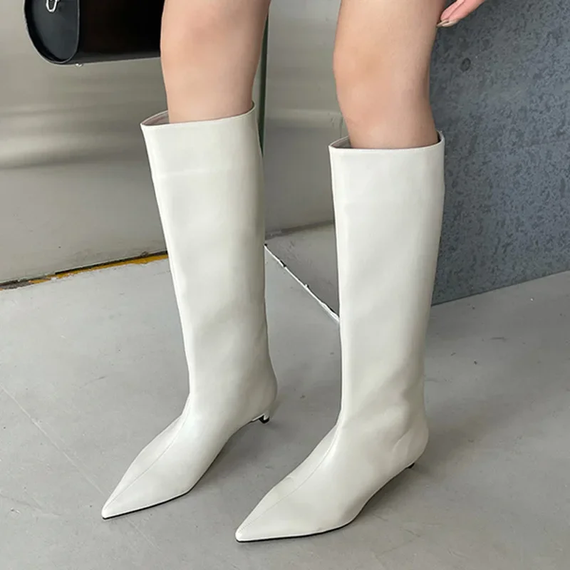 Image of Stylish Pointed Toe Women's Leather High Boots with Low Heels – Elegant Gothic Fashion Snow Boots for Winter 2024