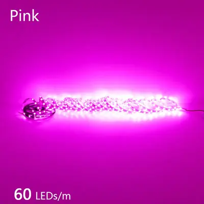 Image de LED Flexible Étanche 12V/24V - 2835 240 LEDs/m
