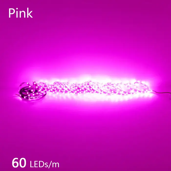 Image de LED Flexible Étanche 12V/24V - 2835 240 LEDs/m