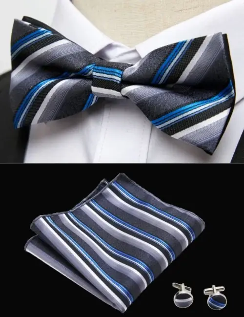 Image de Noeud Papillon Bleu Classique Homme - Ensemble Costume Élégant