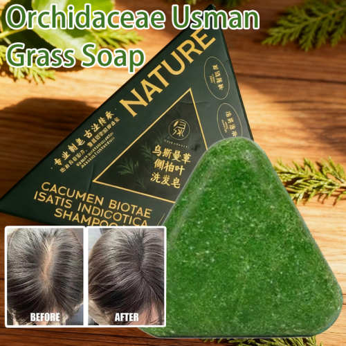 Image of Natural Arborvitae Leaf Solid Shampoo Bar – Powerful Dandruff Fighter, Hair Root Strengthener & Oil Control for Healthy, Strong Hair