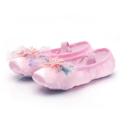Image de Chaussures de Ballet Souple pour Filles - Griffe de Chat