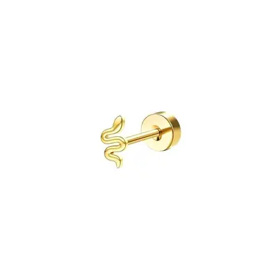 Image de Boucles d'oreilles en acier inoxydable pour femmes