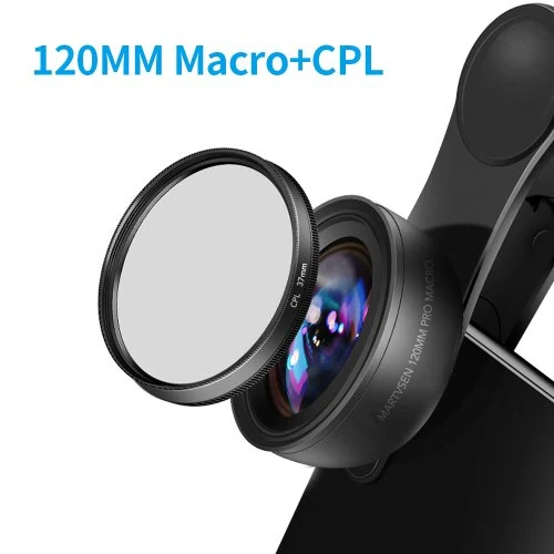 Púrpura