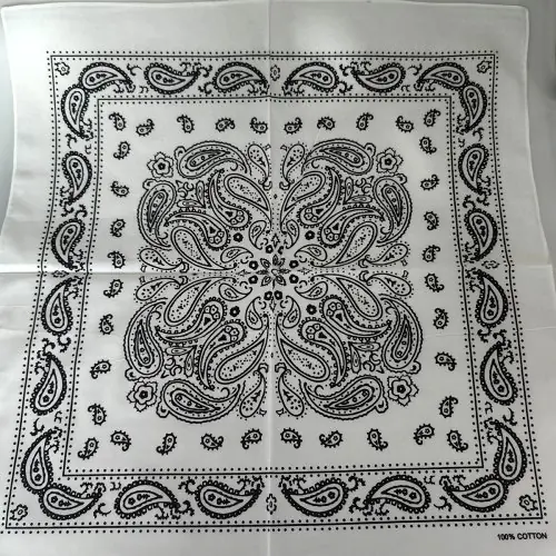 55 White 2