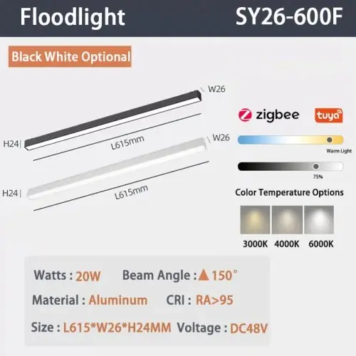 20W projecteur