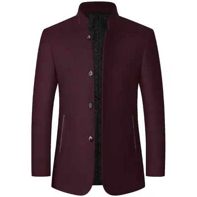 Image de Manteau d'hiver homme col montant laine uni élégant