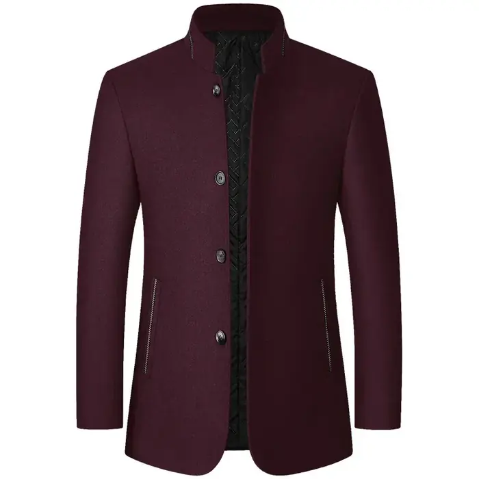 Image de Manteau d'hiver homme col montant laine uni élégant