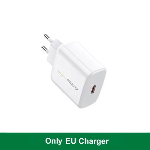 Only EU Charger