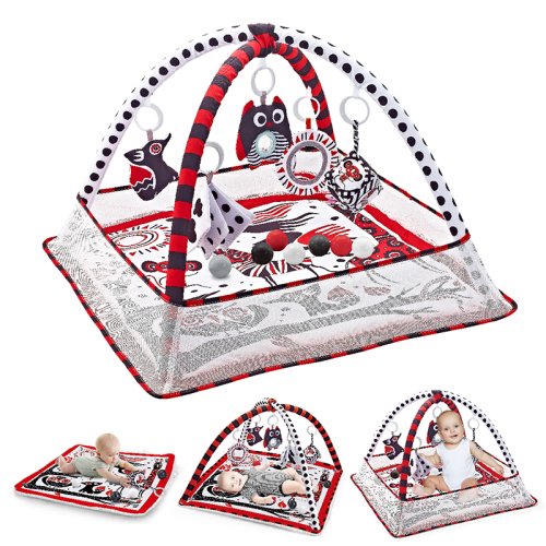 Image of Baby Play Gym Play Mat Tummy Time Activity Game Pad 0-36 Months Newborn Baby Crawling Blanket Baby Fitness Stand Toys Gifts