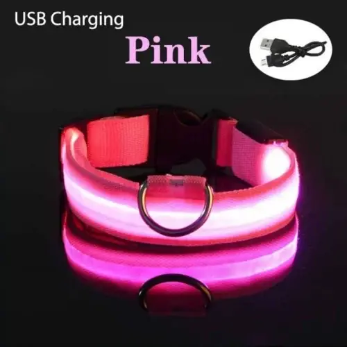 Rosa USB carga
