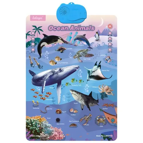 Océan animaux