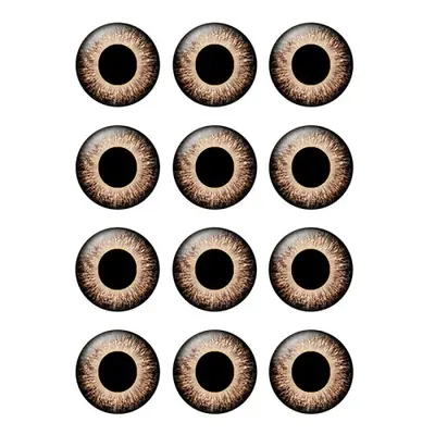 Image de Puces Yeux 14mm - 12 Paires pour Poupée Blythe
