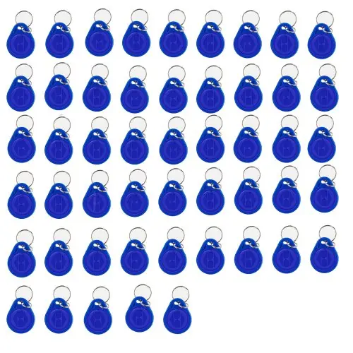 Bleu 125KHz ID