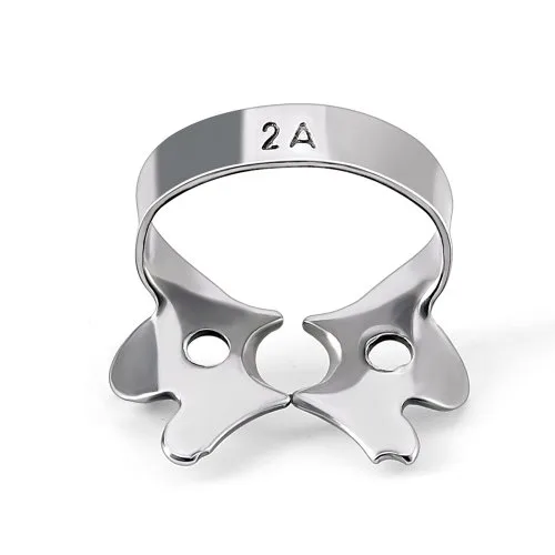 2A