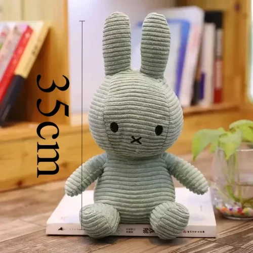 Vue 13 du produit