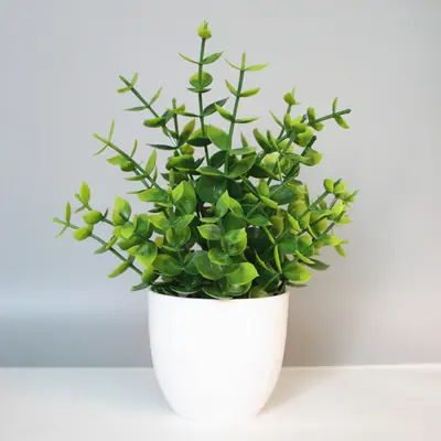Image de Plante Artificielle en Pot - Décoration Intérieure & Extérieure