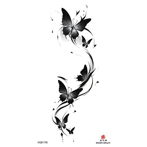 Vue 26 du produit