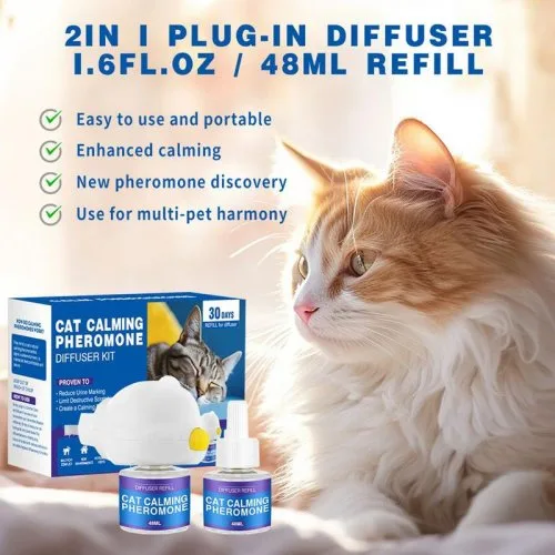 Vue 2 du produit