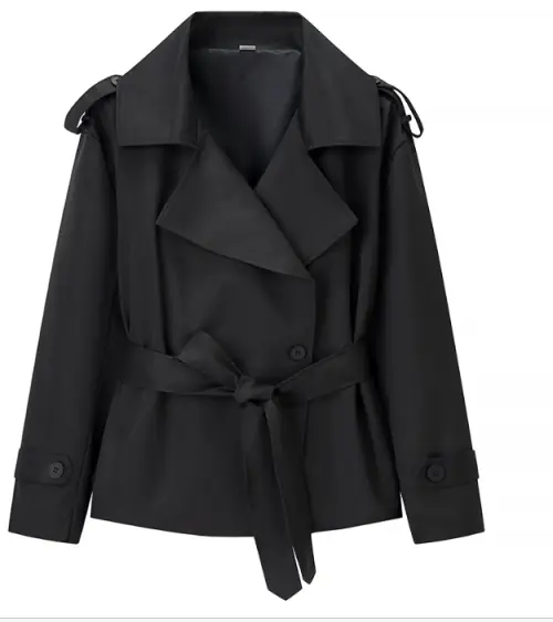 Image de Manteau Élégant Femme Automne 2025 - Style Chic & Amples