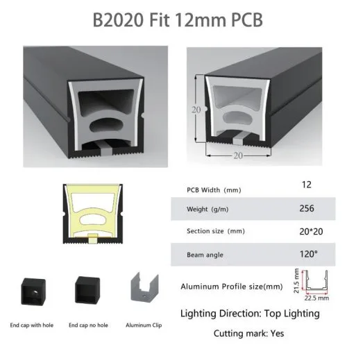B2020