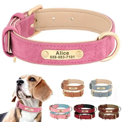 Collier de Chien Personnalisé en Cuir PU