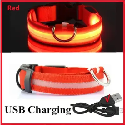 Image de Collier LED Lumineux pour Chien - Sécurité Nuit