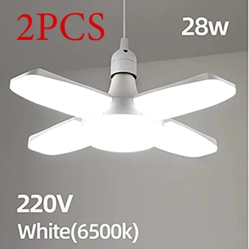 2PCS Cold White 220V