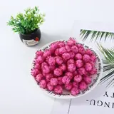 Vue 25 du produit