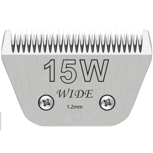 15W