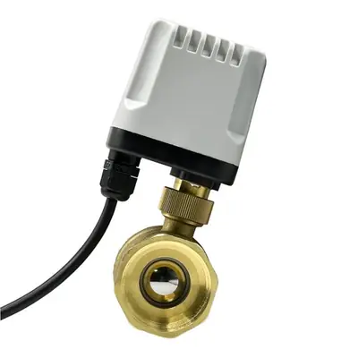 Image de Vanne à Bille Motorisée IP65 - Contrôle Électrique Précis
