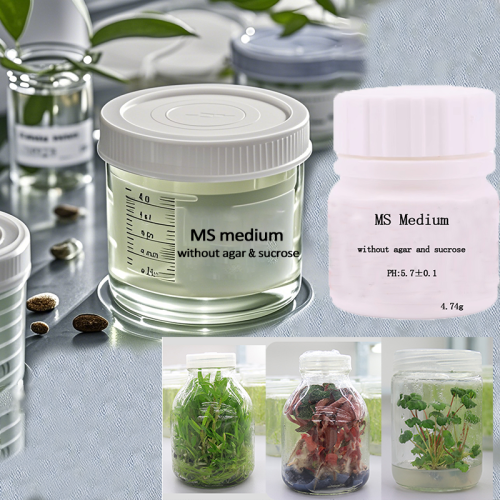 Image of Natural Plant Tissue Culture Medium – Complete MS Base Without Agar or Sucrose for Lab Growth & Sprouted Flower Experiments