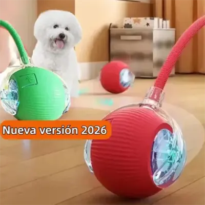 Boule de Chien Interactive Automatique