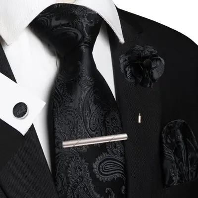 Image de Ensemble Accessoires Marié 5 Pièces - Cravate Paisley & Accessoires