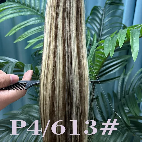 P4 613