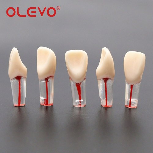Vue 6 du produit