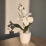 Vue 10 du produit