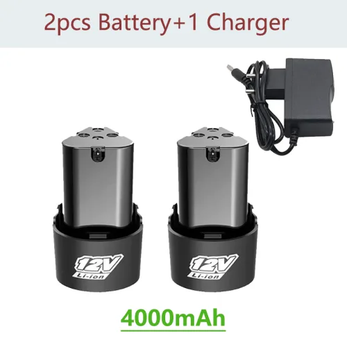 2pcs-4.0Ah-oplader
